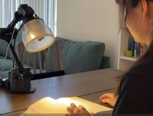 „Apple“ kuria stalinį robotą: kam bus skirtas ir kaip atrodys?