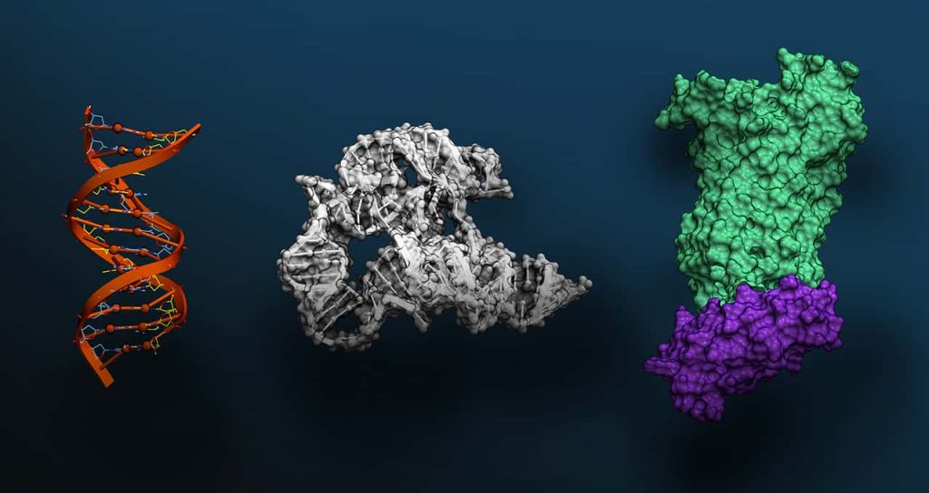 „Nvidia“ žengia į genetinius tyrimus su revoliucine dirbtinio intelekto sistema