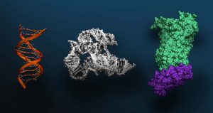 „Nvidia“ žengia į genetinius tyrimus su revoliucine dirbtinio intelekto sistema