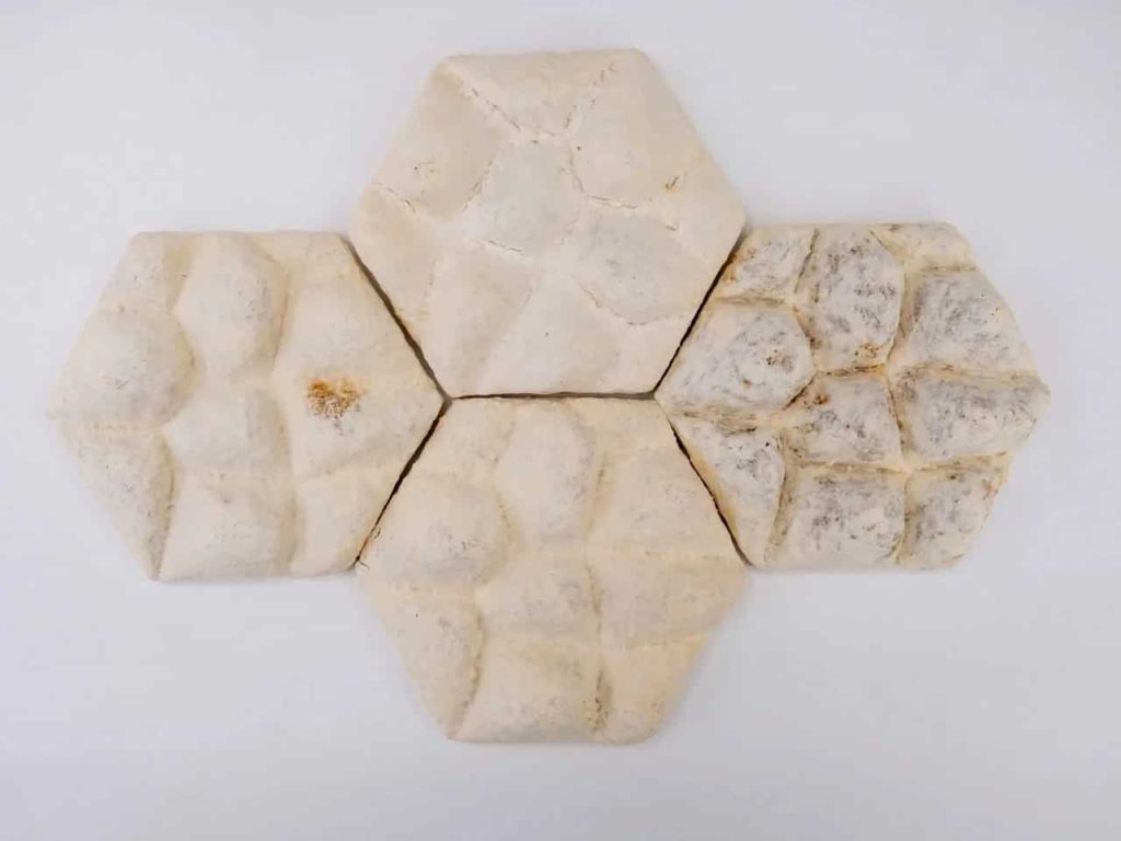 Tvari architektūra: plytelių gamybai mokslininkus įkvėpė dramblio oda