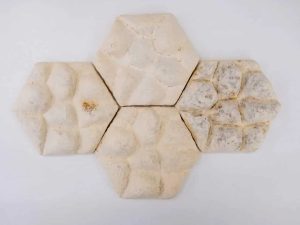 Tvari architektūra: plytelių gamybai mokslininkus įkvėpė dramblio oda