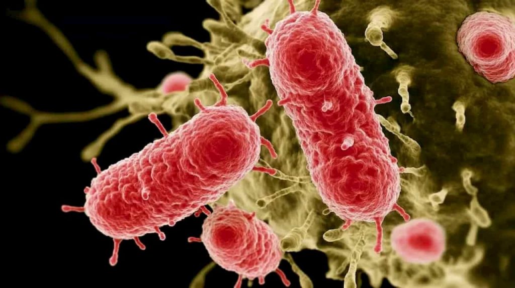 Mokslininkai „NASA“ laboratorijoje atrado dar nematytas 26 rūšių bakterijas