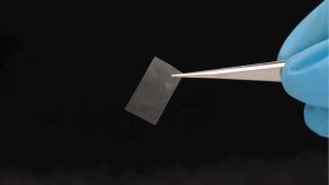 Alternatyva bioplastikui: grybų pagrindu sukurta valgoma ir „gyva“ medžiaga stebina savo tvarumu