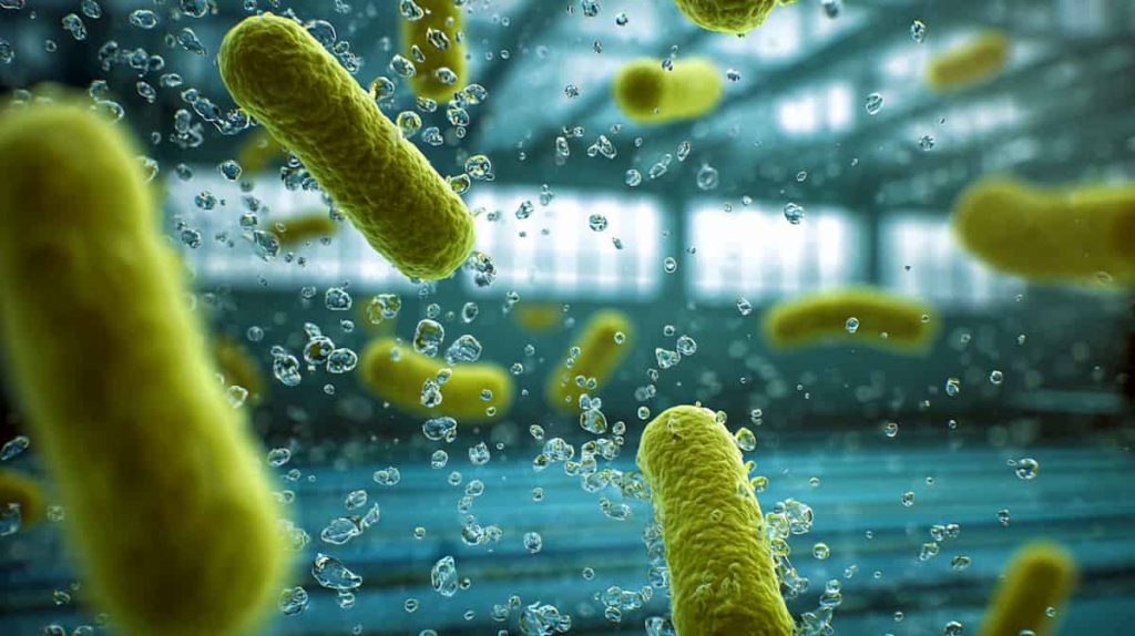 Ką slepia viešieji baseinai? Ekspertė įspėja dėl infekcijų rizikos ir dalinasi patarimais