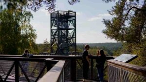 Ekonomikos ir inovacijų ministerija Kviečia siūlyti kandidatus apdovanojimui už nuopelnus Lietuvos turizmui