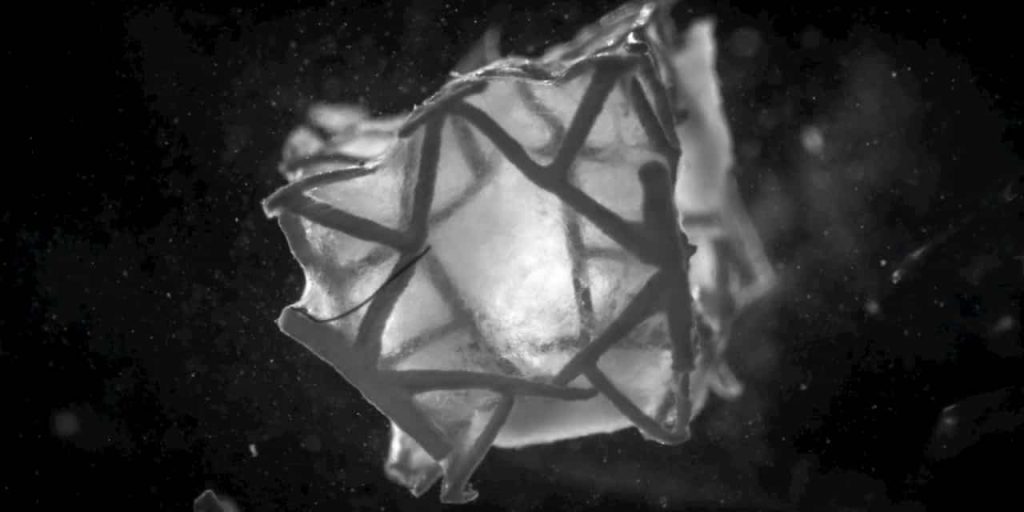 Įspūdingas medicinos proveržis: implantuojamas pleistras gydys širdies ligas