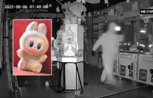 „Labubu“ manija neblėsta: JAV pavogta žaislų už 7 000 dolerių (video)