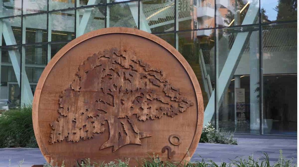 „Swedbank“ naujovė: draudimo sutarčių sudarymui naudos dirbtinį intelektą