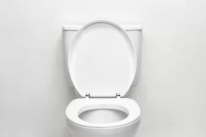 Mokslininkas atskleidė visą tiesą apie viešuosius tualetus – ką svarbu žinoti?