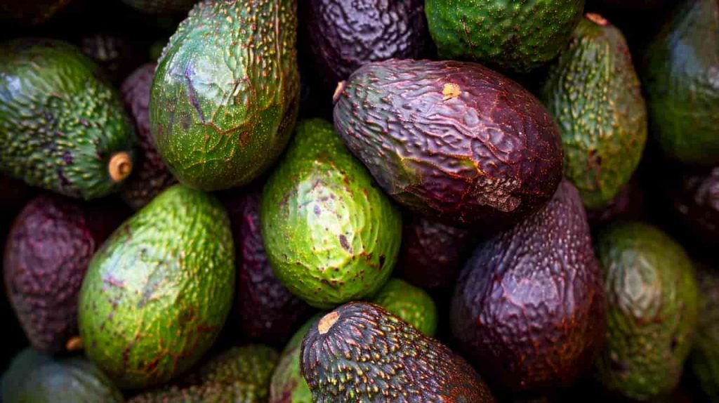 Kaip išsirinkti tobulą avokadą? Dirbtinis intelektas žino atsakymą 