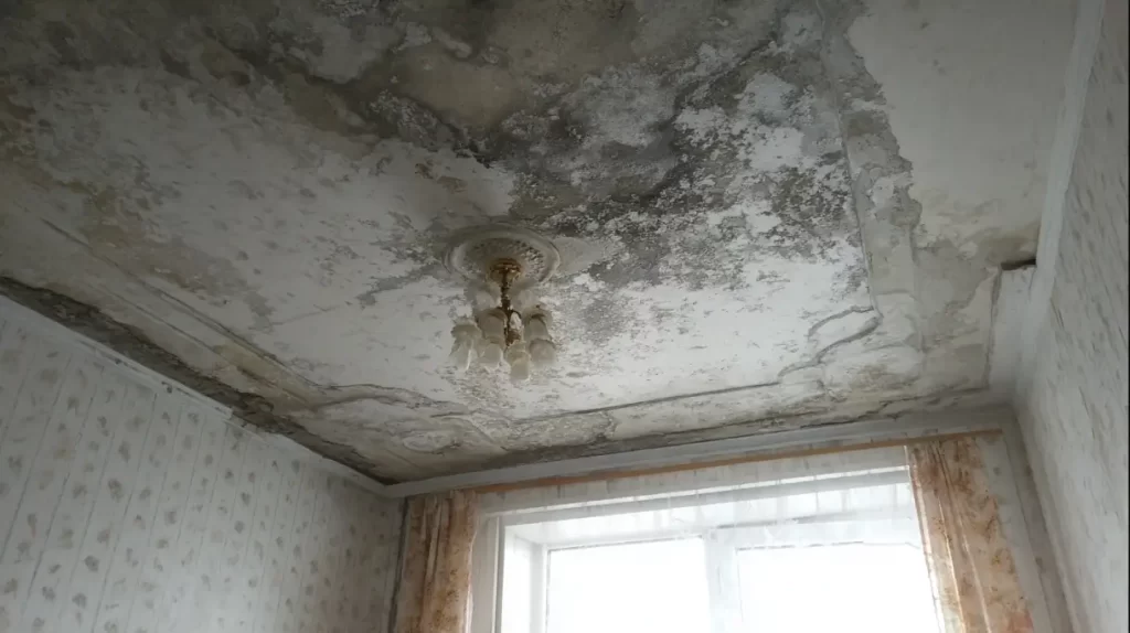 Apsaugokite namus nuo pelėsio: 3 daiktai, kuriuos turite išmesti šiandien