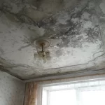 Apsaugokite namus nuo pelėsio: 3 daiktai, kuriuos turite išmesti šiandien