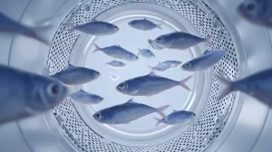 Mikroplastiko era baigiasi? Žuvų žiaunų principu sukurtas filtras pašalina 99 proc. dalelių