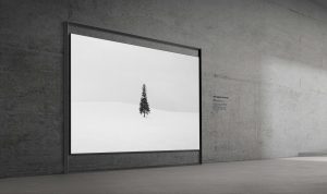 „Samsung“ parodė pirmą pasaulyje 130 colių „Micro RGB“ televizorių