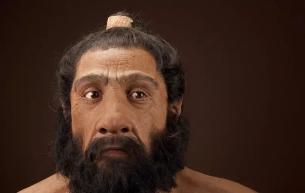 Neandertaliečių ir šiuolaikinių žmonių genomų analizė atskleidė netikėtą modelį, kaip jų genai pateko į mūsų DNR