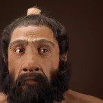Neandertaliečių ir šiuolaikinių žmonių genomų analizė atskleidė netikėtą modelį, kaip jų genai pateko į mūsų DNR