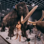 „Amžino“ klonavimo viltys žlugo po 20 metų tyrimo: mokslininkai aptiko biologinę ribą