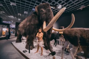 „Amžino“ klonavimo viltys žlugo po 20 metų tyrimo: mokslininkai aptiko biologinę ribą