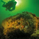 Dešimtmečius Baltijos jūros dugne gulėję Antrojo pasaulinio karo sprogmenys dabar gali kelti naują grėsmę