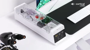 Iš 200 tūkst. žmogaus neuronų sukurtas biologinis kompiuteris pasiekė proveržį: įveikė klasikinį vaizdo žaidimą