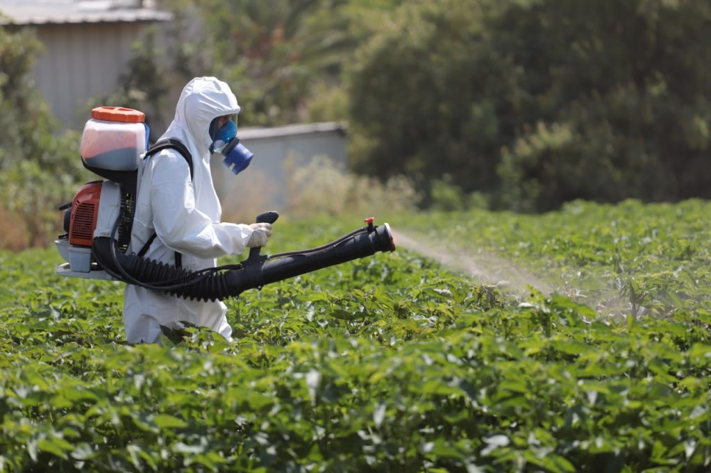 Šokiruojantis atradimas: pesticido poveikis gali būti paveldimas net per 20 žmonių kartų