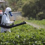 Šokiruojantis atradimas: pesticido poveikis gali būti paveldimas net per 20 žmonių kartų