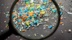 Jūsų virtuvės kempinė gali skleisti mikroplastikus: mokslininkai įvertino jų mastą