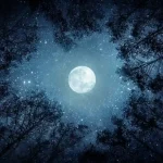 Rugsėjo 26-osios naktį laukia ypatingas reginys: prie pilnaties danguje – dvi planetos