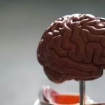 MIT sukūrė rankinį įrenginį, galintį padėti anksčiau aptikti kiaušidžių vėžį
