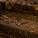 Po vandeniu rastas žiedas su Aleksandrijos švyturio atvaizdu: archeologai aptiko vienintelį žinomą tokį radinį
