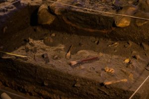 Po vandeniu rastas žiedas su Aleksandrijos švyturio atvaizdu: archeologai aptiko vienintelį žinomą tokį radinį