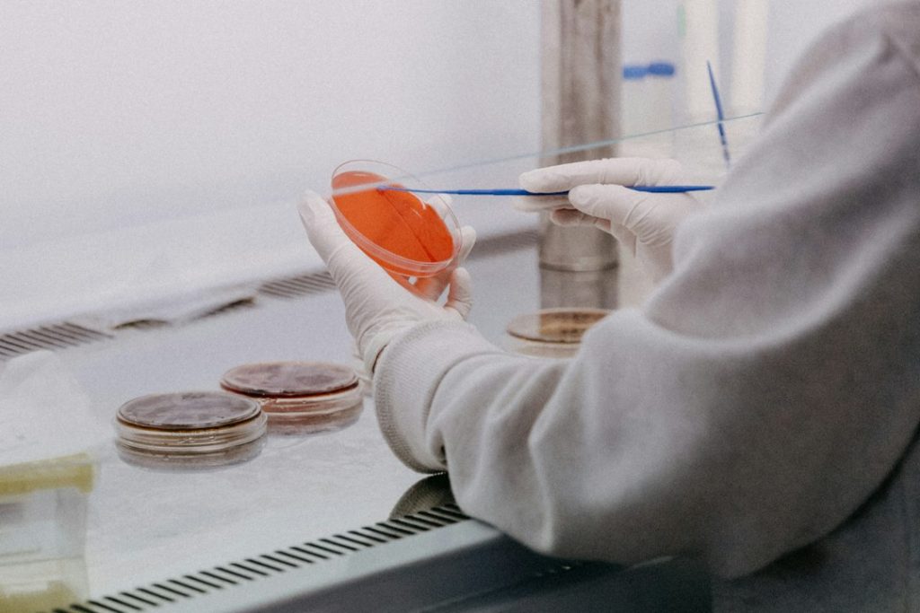 Vilniuje statoma 65 mln. eurų saldaus baltymo gamykla – žada ingredientą 1 500 kartų saldesnį už cukrų