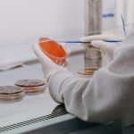 Vilniuje statoma 65 mln. eurų saldaus baltymo gamykla – žada ingredientą 1 500 kartų saldesnį už cukrų