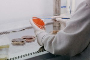 Vilniuje statoma 65 mln. eurų saldaus baltymo gamykla – žada ingredientą 1 500 kartų saldesnį už cukrų