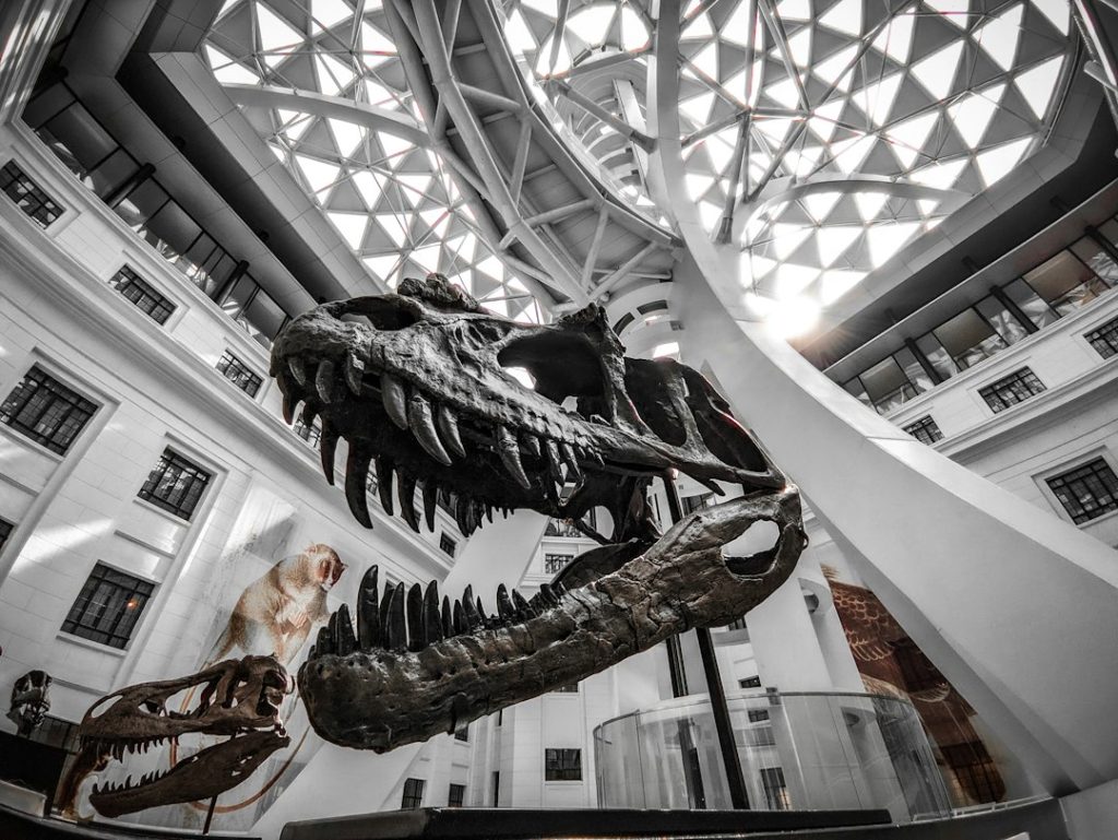 Kinijoje rastas „ketursparnis“ dinozauras verčia perrašyti skrydžio istoriją