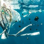 Mikroplastikas vandenyje gali skatinti netikėtas chemines reakcijas – mokslininkai keičia požiūrį