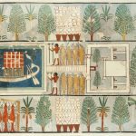 Senovės Egipto gydytojai prieš tūkstančius metų aprašė operacijas, kurios stebina ir šiandien